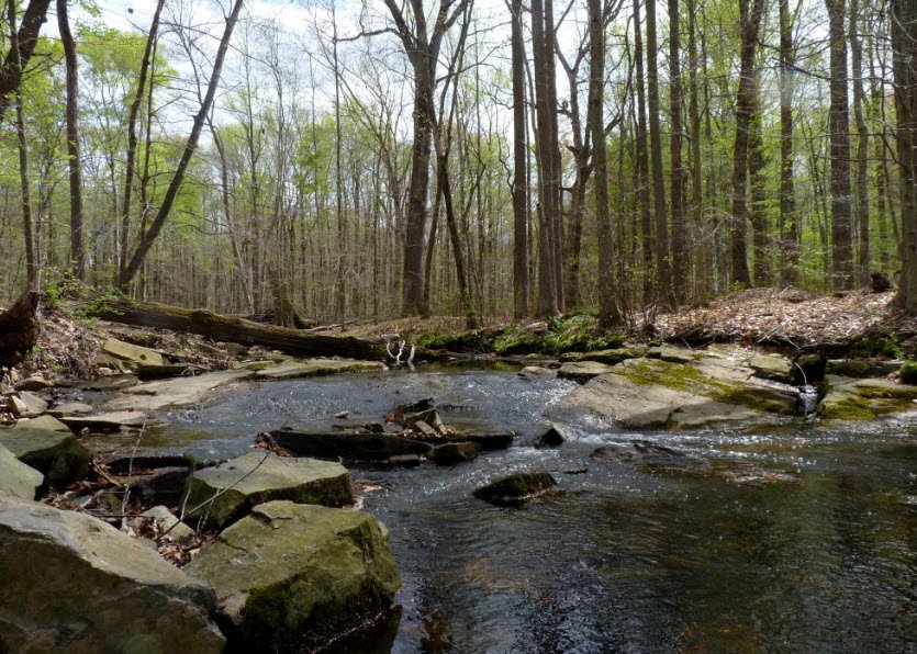 The Brook , , Ireland